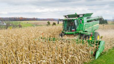 Why are the rich farmers using free electricity?