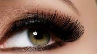  Eye Lashes
