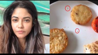 Insects found in luxury hotel food