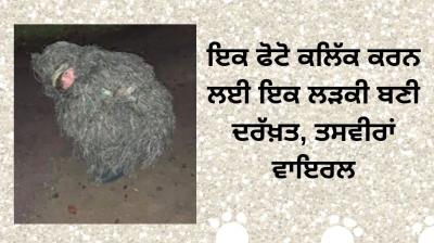 woman dresses up as bush for captures sister s proposal pics 