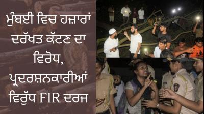 Bulldozers Enter Mumbai's Aarey To Cut Trees