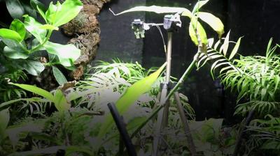 Plant 'takes' botanical world's first selfie in London Zoo 