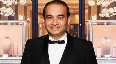 Nirav Modi