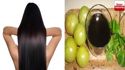 Apply these things mixed with amla oil