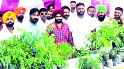 Free Plants Distribution Ceremony