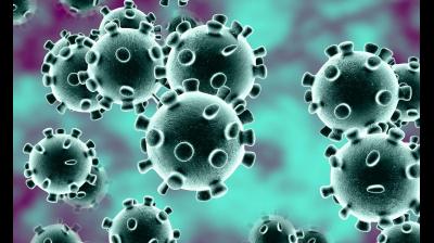 ਬਾਪੂਧਾਮ ਕਲੋਨੀ ਚ 130 ਹੋਏ ਪਾਜ਼ੇਟਿਵ ਮਰੀਜ਼