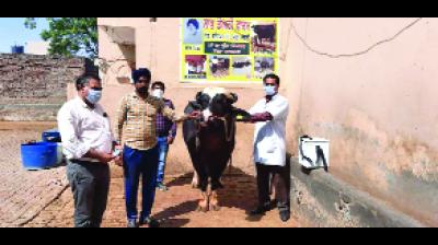 ਟੀਕਾਰਣ ਮੁਹਿੰਮ ਦੀ ਸ਼ੁਰੂਆਤ ਕਰਦੇ ਹੋਏ ਡਾ ਬਿਮਲ ਸ਼ਰਮਾ।