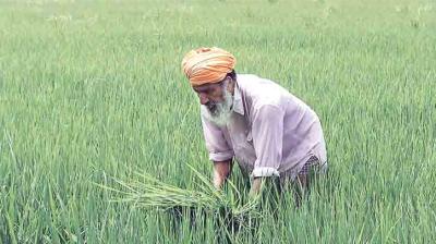 Pradhan Mantri Kisan Samman Nidhi yojna