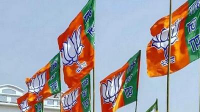 Image: For representation purpose only