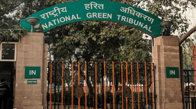 NGT ban sale or use of all kinds of firecrackers till 30th November