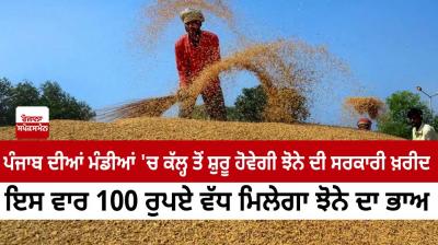 Government purchase of paddy will start from tomorrow in the mandis of Punjab