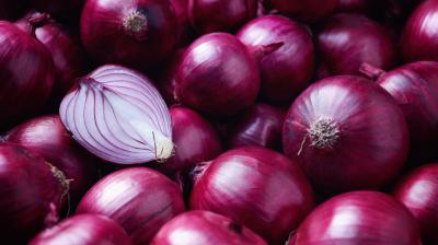 Year ender 2019 onions