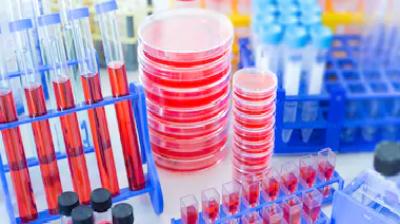 Coronavirus anti body rapid test kit fail india ban china reaction