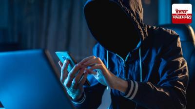 Friendship made on Shaadi.com, woman commits cyber fraud of Rs 46 lakhs from man