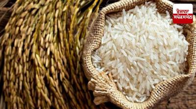 Central government temporarily stops supply of fortified rice