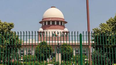 Supreme Court came forward to defend the indigenous breed of cow