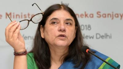 Maneka Gandhi 