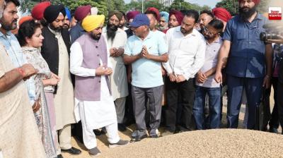 ਪੰਜਾਬ 'ਚ ਹੁਣ ਤਕ 61.01 ਲੱਖ ਮੀਟ੍ਰਿਕ ਟਨ ਝੋਨਾ ਖ਼ਰੀਦਿਆ ਗਿਆ : CM ਭਗਵੰਤ ਮਾਨ been