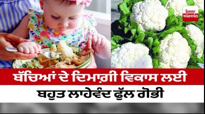 Cauliflower is very beneficial for the brain development of children