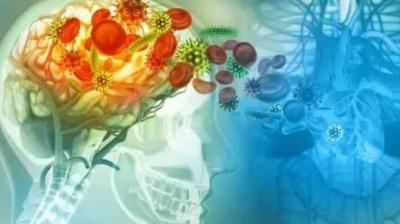 Kerala brain eating amoeba New Case