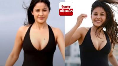 Shehnaaz Gill: How did Shehnaaz Gill lose 12 kg in 6 months? Know the actress's complete diet plan