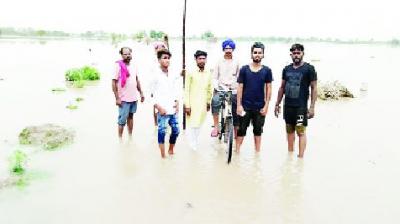 Ghanaur have dried crops