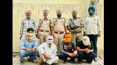 drug smuggling rackets