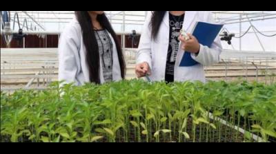 Agricultural Education Council 