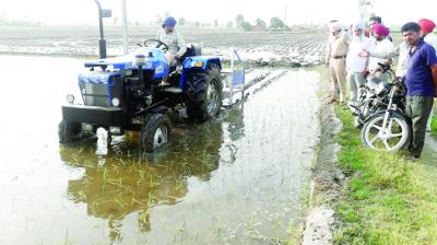 Farmer pondering in fields