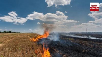 Cases of stubble burning in Punjab dropped by 88 percent in October but increased rapidly as November progressed.