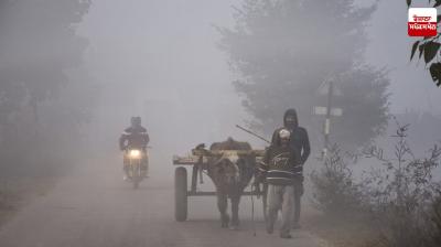 Punjab Weather Update News