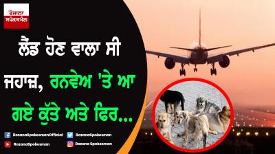 Air India aborts flight landing in Goa due to dogs on runway