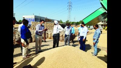 ਕੇਂਦਰੀ ਟੀਮ ਵਲੋਂ ਪਟਿਆਲਾ ਜ਼ਿਲ੍ਹੇ ਦੀਆਂ ਮੰਡੀਆਂ ਦਾ ਦੌਰਾ