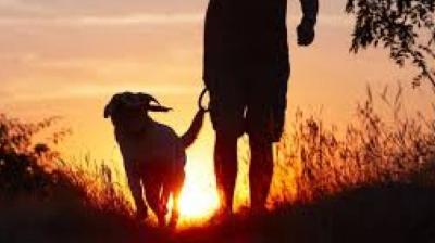 Representative Image.