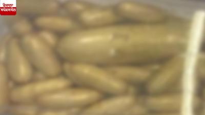 Police arrest woman with Rs 7 crore heroin at airport