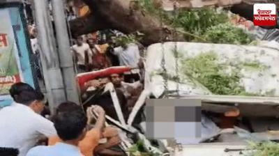Tree fell on government school principal's car