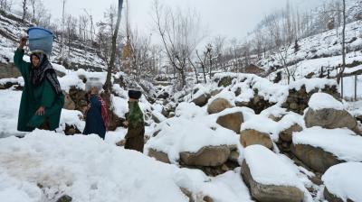 Kashmir Cold