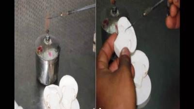 Agricultural University conducts online training course on mushroom production