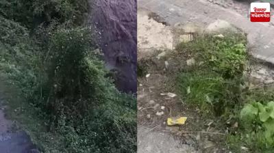 Kinnaur Cloud burst Himachal Pradesh News