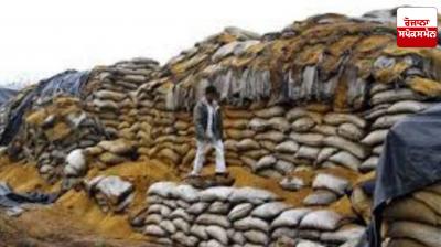 Food grains are being wasted on a large scale every year in Punjab.