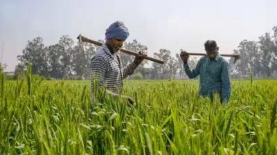 ਝੋਨਾ ਪੰਜਾਬ ਵਿਚ ਸਾਉਣੀ ਦੀ ਮੁੱਖ ਫ਼ਸਲ ਹੈ। ਇਸ ਫ਼ਸਲ ਦੇ ਵਧਣ-ਫੁਲਣ ਲਈ 20 ਤੋਂ 37.5 ਡਿਗਰੀ ਸੈਂਟੀਗਰੇਡ ਤਾਪਮਾਨ ਬਹੁਤ ਚੰਗਾ ਹੈ। 