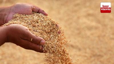 Paddy procurement season-2025: More than 10 lakh farmers have received the benefit of MSP so far