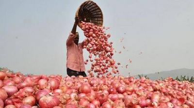 ONION Price