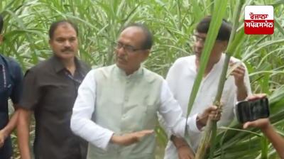 ਕੇਂਦਰੀ ਖੇਤੀਬਾੜੀ ਮੰਤਰੀ ਸ਼ਿਵਰਾਜ ਚੌਹਾਨ ਨੇ ਹੜ੍ਹਾਂ ਲਈ ਨਾਜਾਇਜ਼ ਮਾਇਨਿੰਗ ਦੱਸਿਆ ਜ਼ਿੰਮੇਵਾਰ  