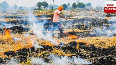 Punjab government tightens grip on stubble burning after Supreme Court orders
