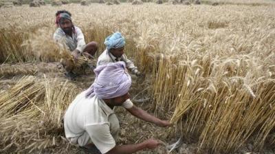 Big gift to farmers haryana govt waived electricity surcharge assembly election