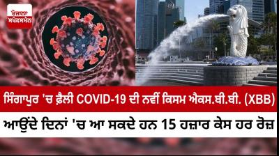 Covid's XBB wave in Singapore likely to peak at 15,000 daily cases by mid-