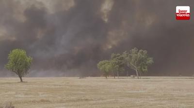 ਦੂਜੇ ਦਿਨ ਵੀ ਹਲਕਾ ਗੁਰੂਹਰਸਹਾਏ ’ਚ ਕਣਕ ਦੇ ਨਾੜ ਨੂੰ ਲੱਗੀ ਅੱਗ