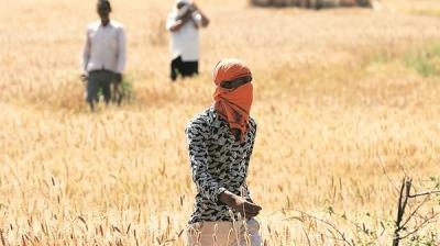 ਕੋਰੋਨਾ ਦਾ ਖ਼ੌਫ਼ ਭੁਲਾ ਕੇ ਅੰਨਦਾਤਾ ਖੇਤਾਂ ਵਲ ਨਿਕਲਿਆ