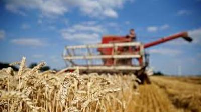 ਪੰਜਾਬ 'ਚ ਕਣਕ ਦੀ ਖ਼ਰੀਦ ਅੱਜ ਤੋਂ